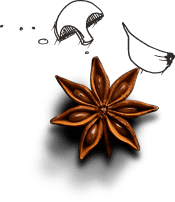 newlight cashew background