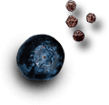 Newlight background