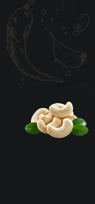 newlight cashew background